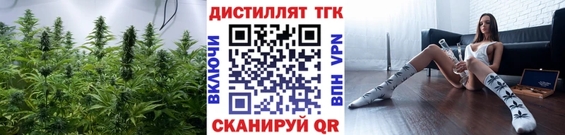 купить  цена  Княгинино  Дистиллят ТГК концентрат 