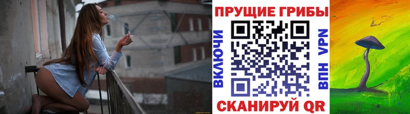 Псилоцибиновые грибы Magic Shrooms  Княгинино 