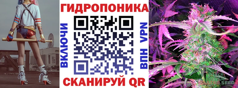 Каннабис план Княгинино